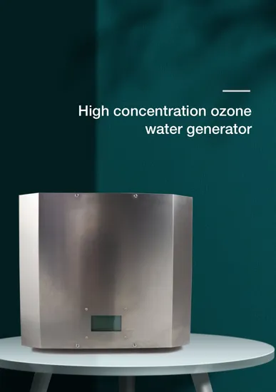 5~8ppm Ozone Sterilizer for Laundry System